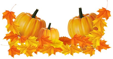 transparent pumpkin clipart|fall pumpkin clip art transparent background.